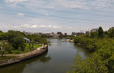 新左近川親水公園