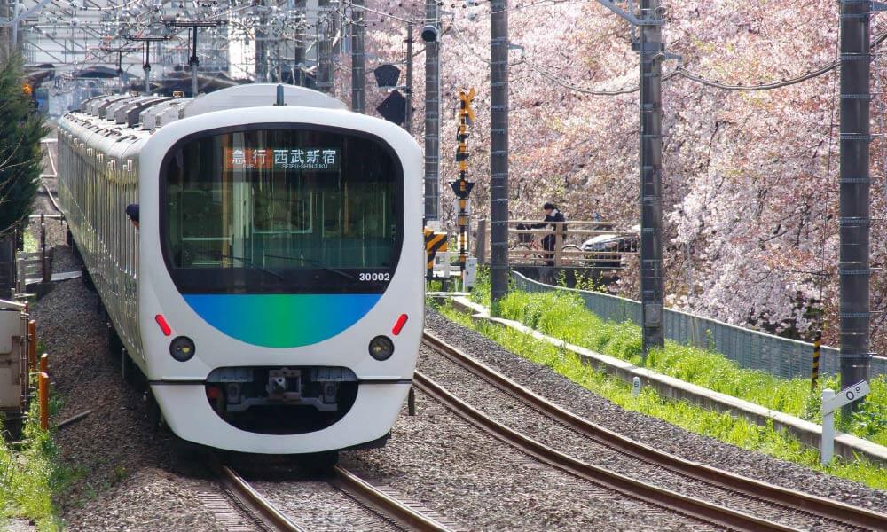 電車（線路の脇で桜が咲いている）