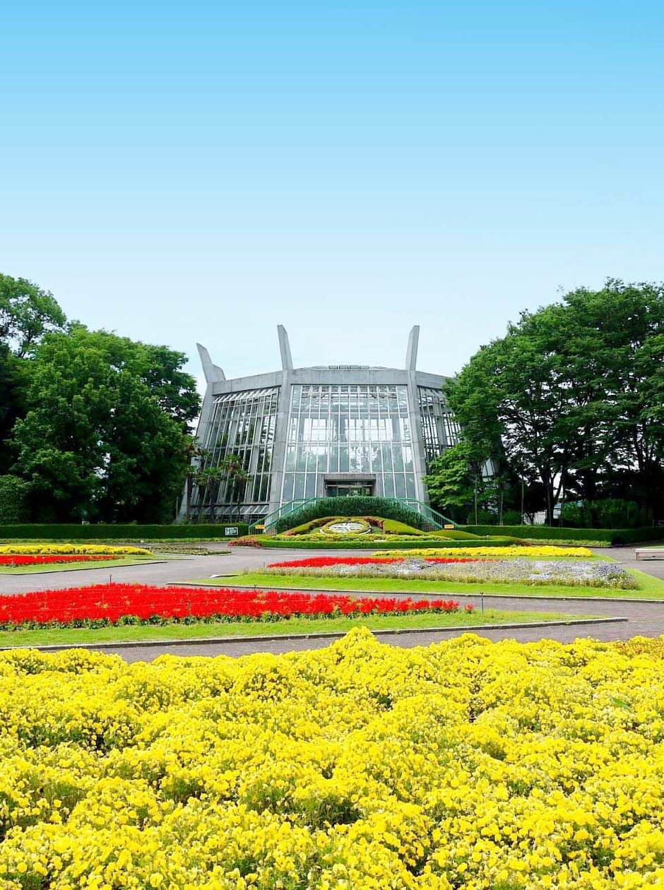 花が咲いている公園