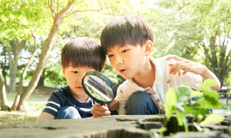 虫眼鏡で観察する子どもたち