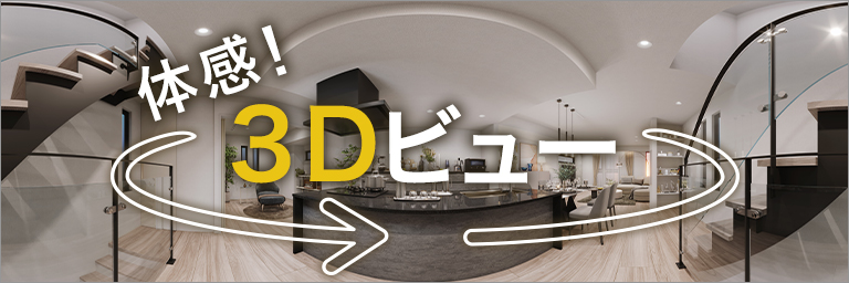 3Dビュー