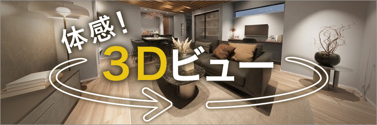 3Dビュー