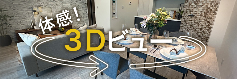 3Dビュー