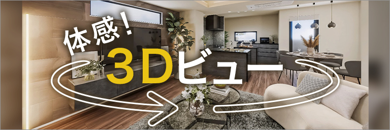 3Dビュー