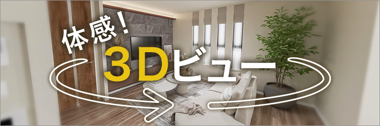 3Dビュー