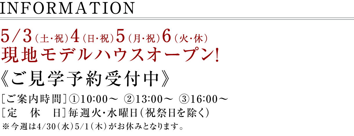 現地モデルハウスオープン