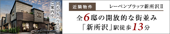 レーベンプラッツ新所沢Ⅱ