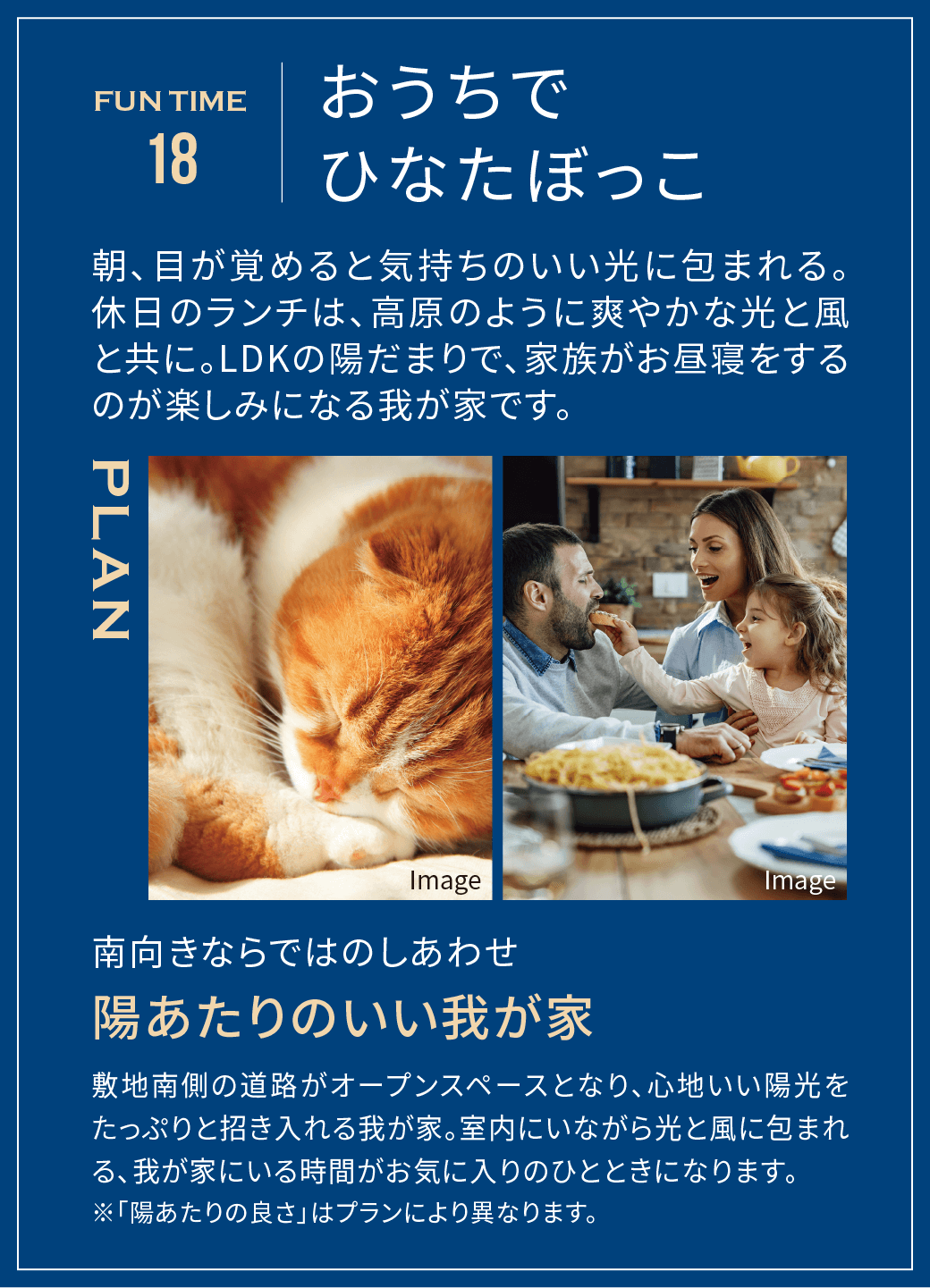 おうちでひなたぼっこ