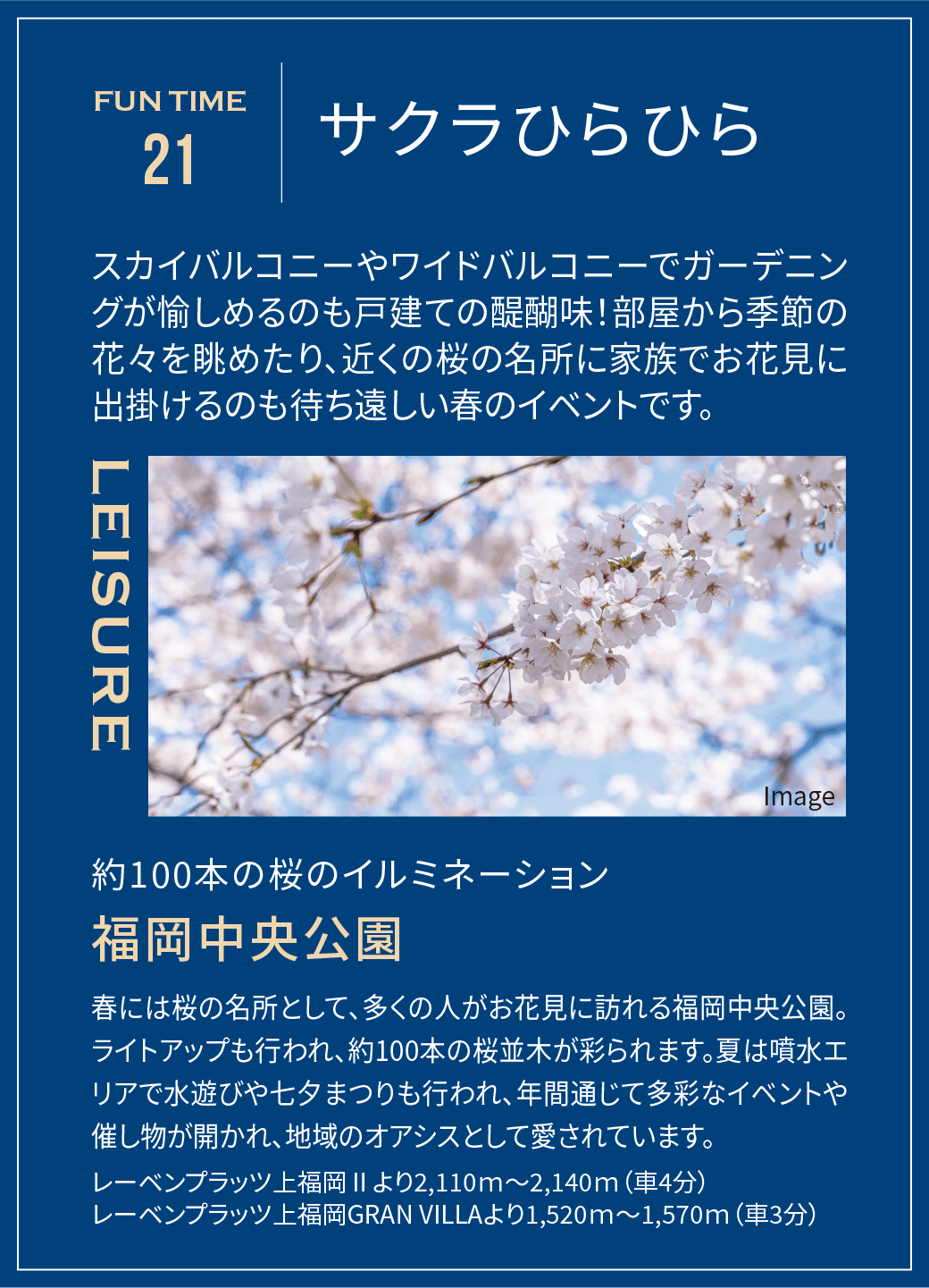 サクラひらひら
