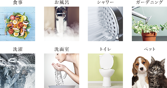 all image photo