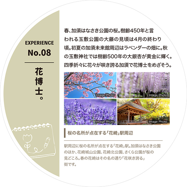 花博士。
