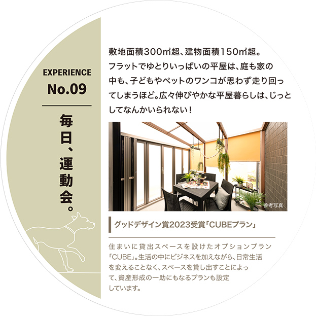 毎日、運動会。