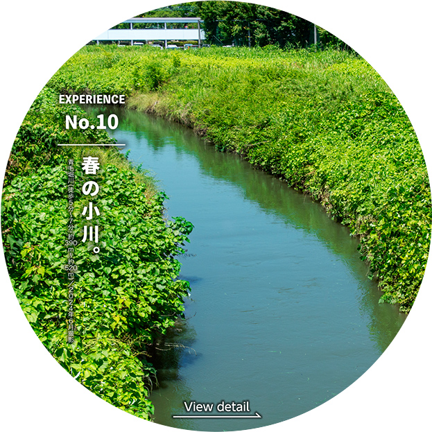 春の小川。