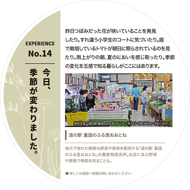今日、季節が変わりました。