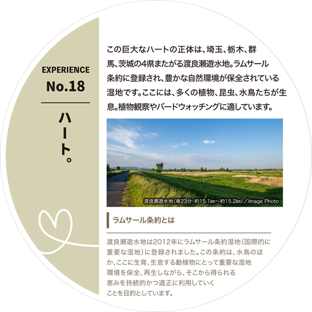 ハート。