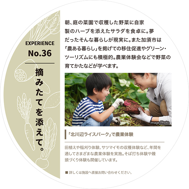 摘みたてを添えて。