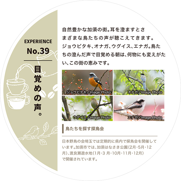 目覚めの声。