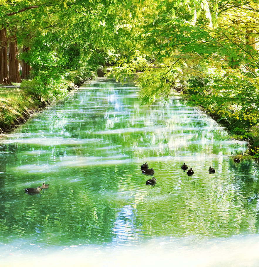 加須はなさき公園