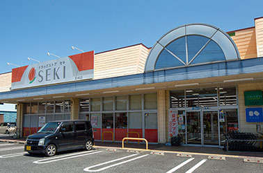 ドラッグストアセキ花崎店