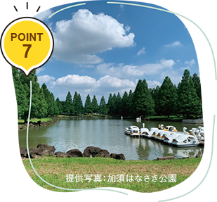 POINT 7