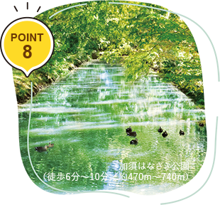 POINT 8