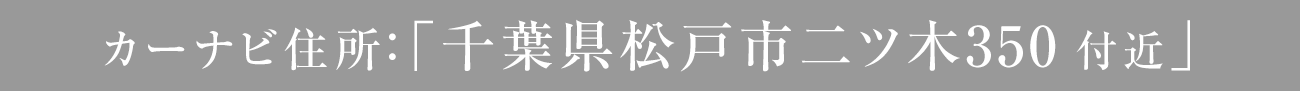 カーナビ住所