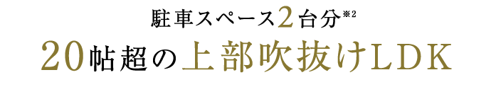 20帖超の大空間 上部吹抜けLDK