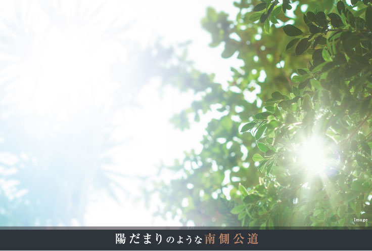 陽だまりのような南側公道