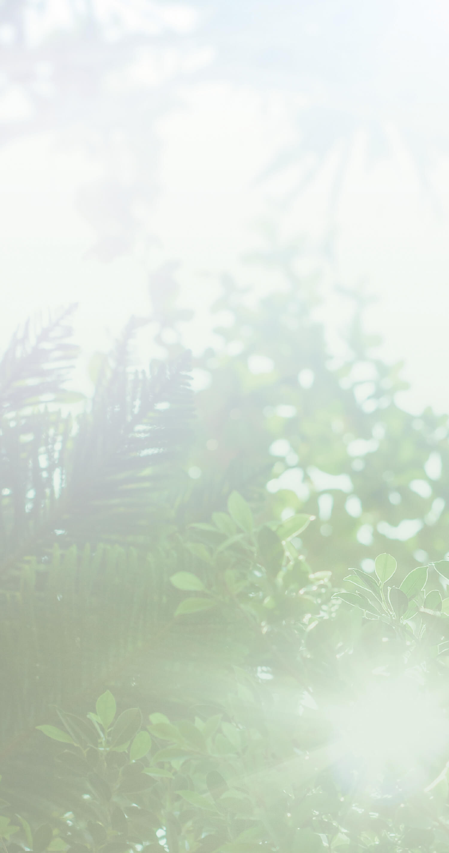 location bg image
